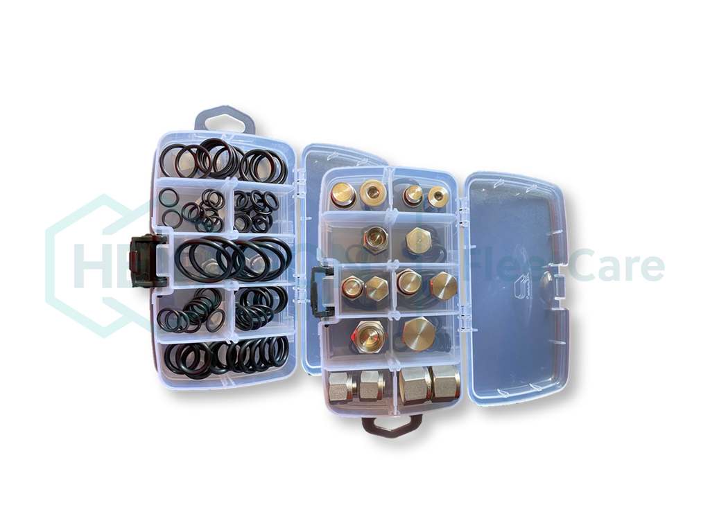 CNG O-RING/CAP & PLUG KIT